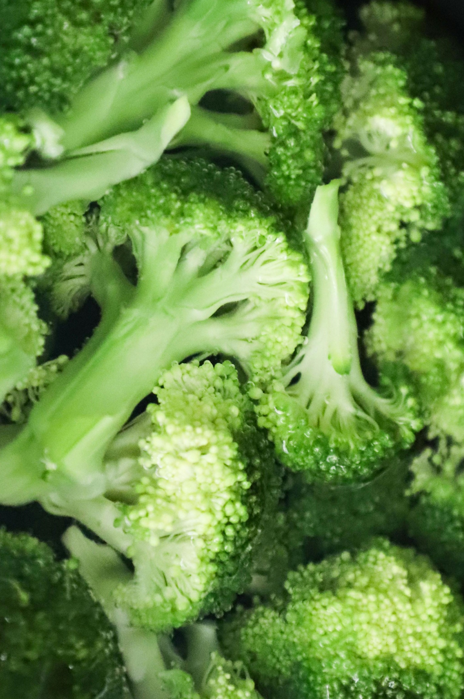 Ariana Garden Broccoli